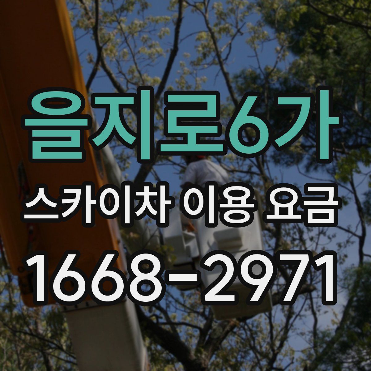 을지로6가 스카이차 이용 요금