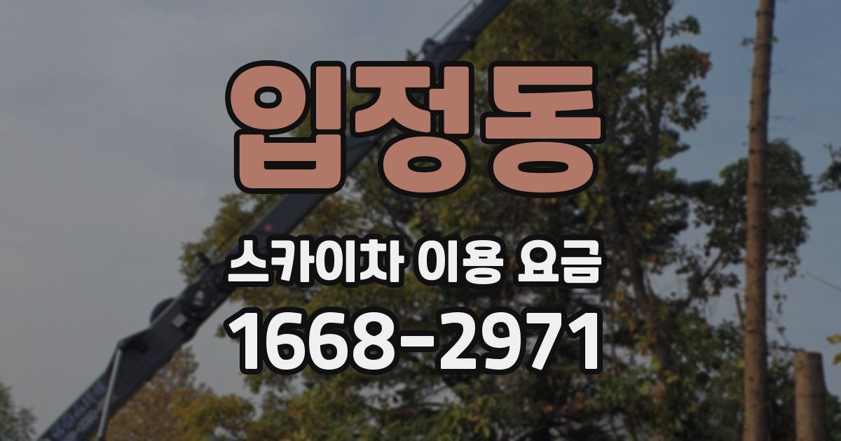 입정동 스카이차 이용 요금