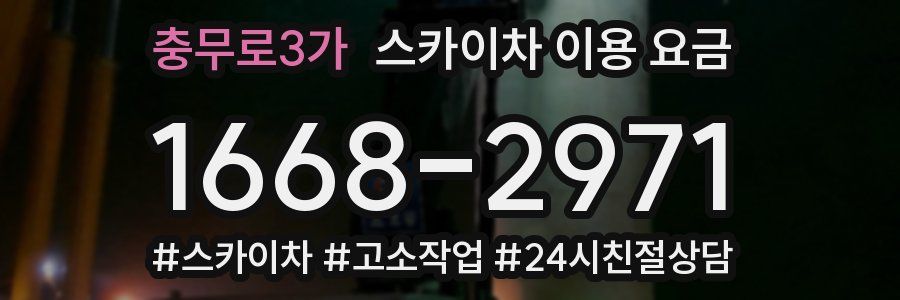충무로3가 스카이차 이용 요금