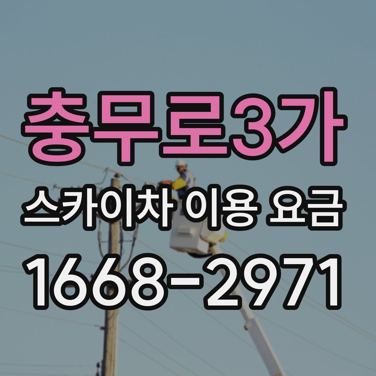 충무로3가 스카이차 이용 요금