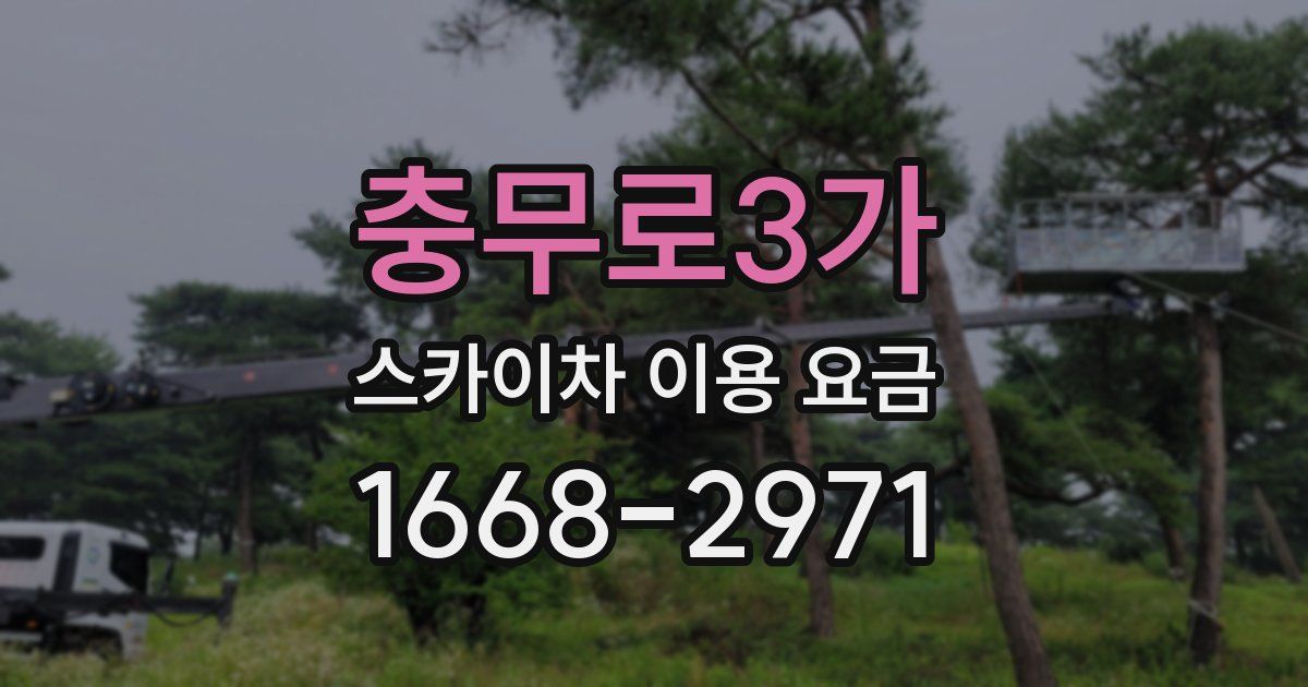 충무로3가 스카이차 이용 요금