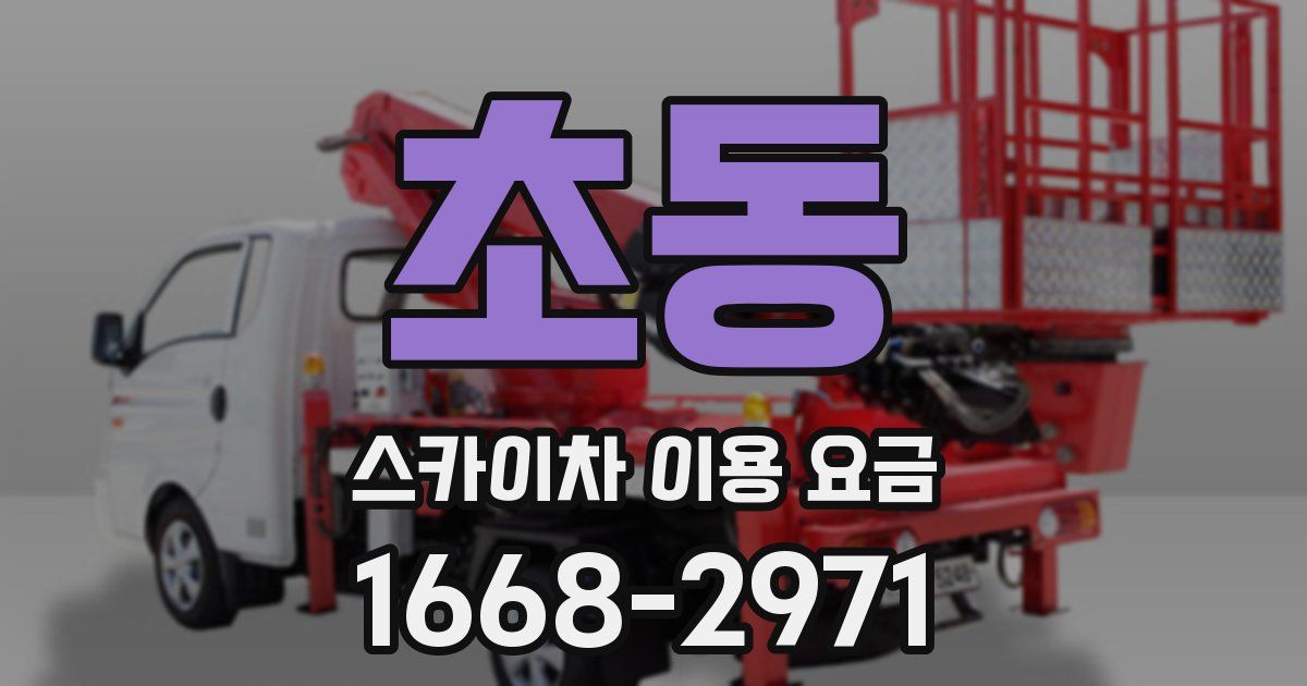 초동 스카이차 이용 요금