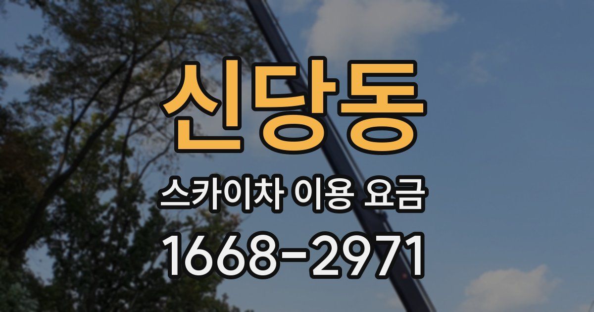 신당동 스카이차 이용 요금
