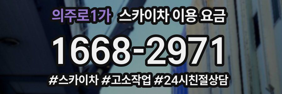 의주로1가 스카이차 이용 요금