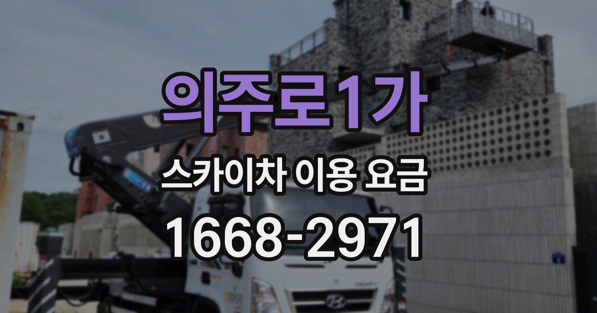 의주로1가 스카이차 이용 요금
