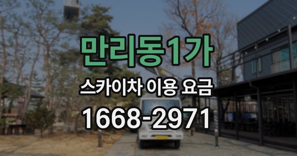 만리동1가 스카이차 이용 요금