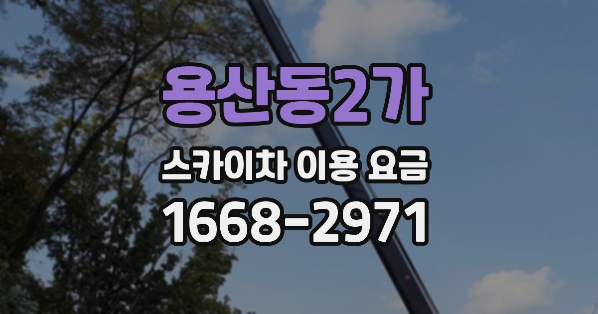 용산동2가 스카이차 이용 요금