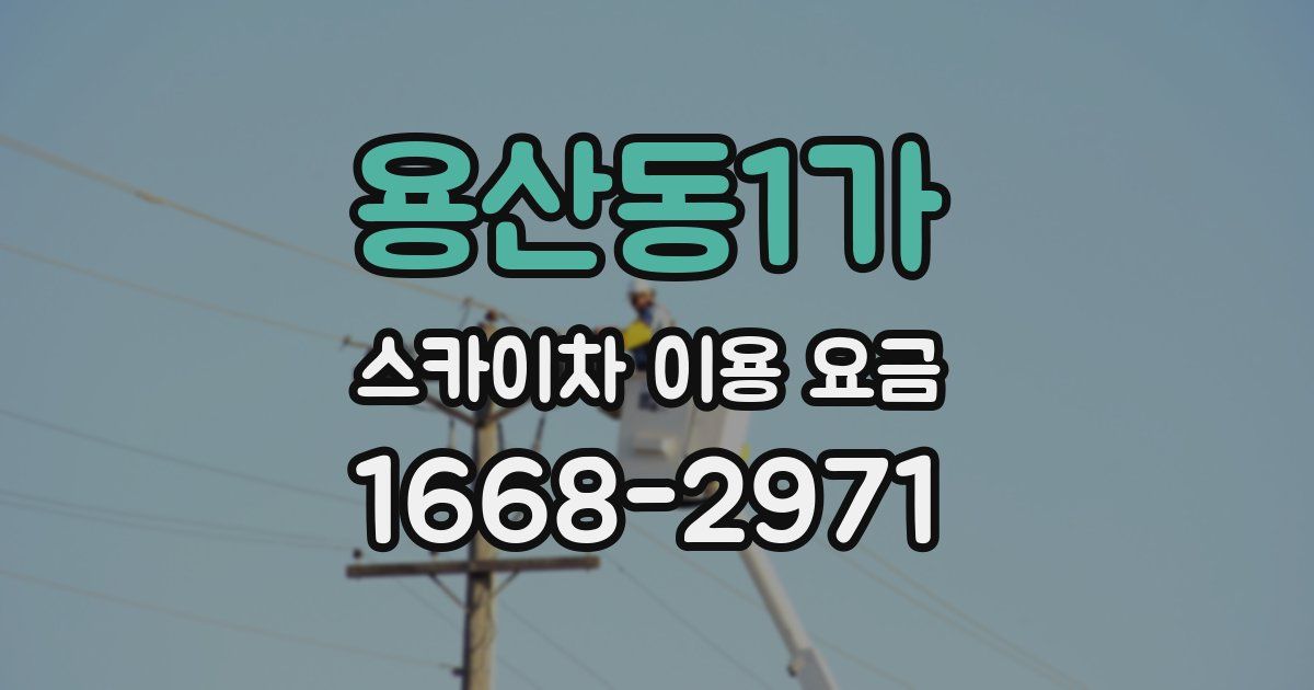 용산동1가 스카이차 이용 요금