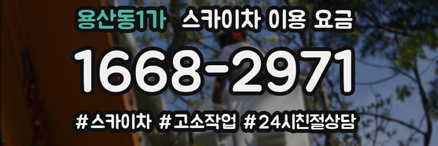 용산동1가 스카이차 이용 요금