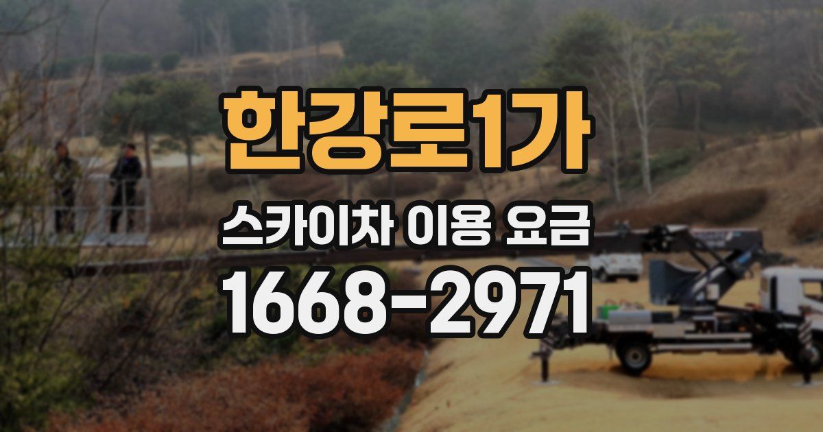 한강로1가 스카이차 이용 요금