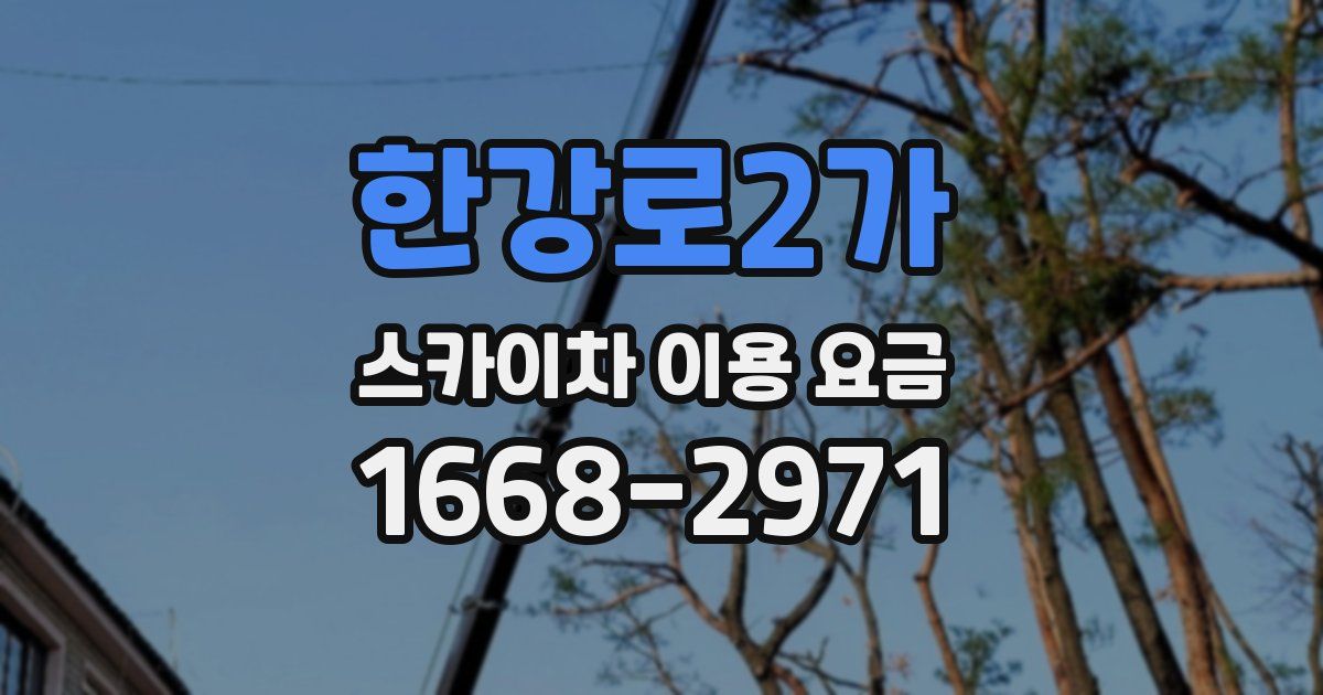 한강로2가 스카이차 이용 요금