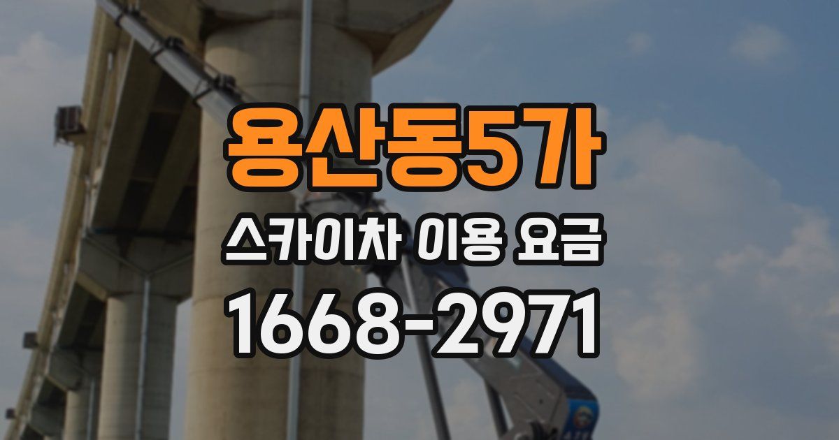 용산동5가 스카이차 이용 요금