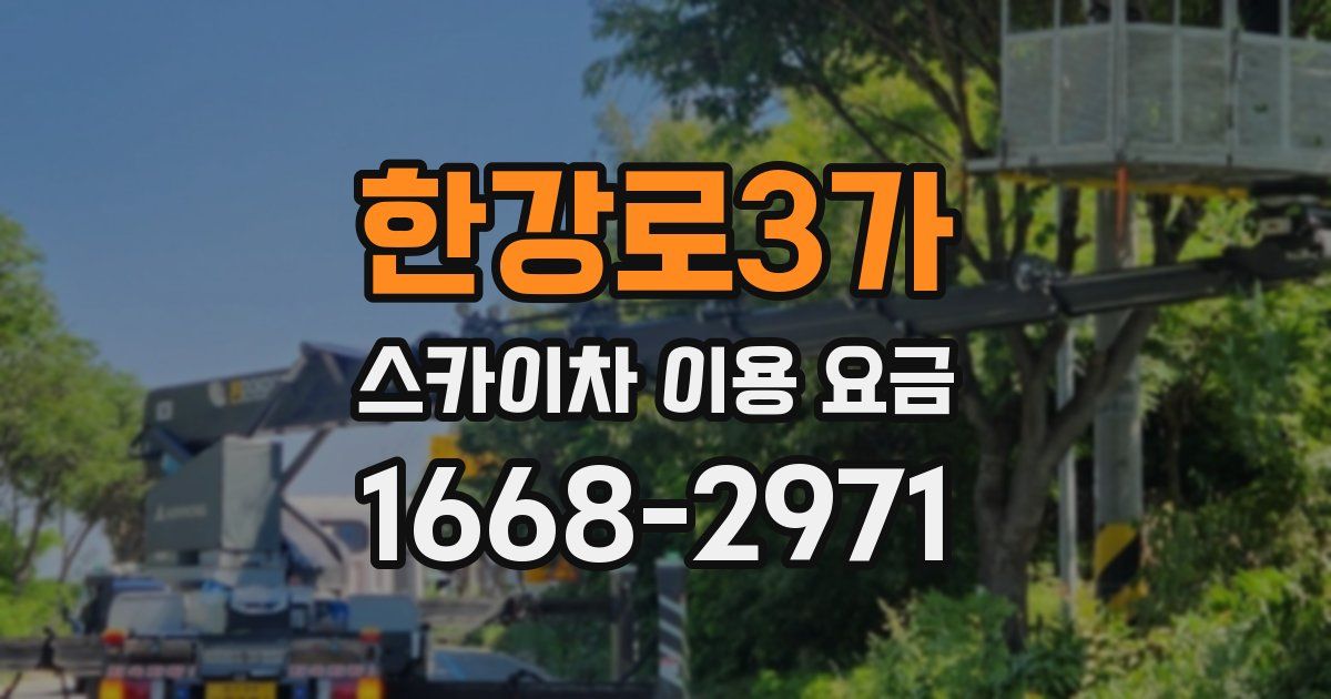 한강로3가 스카이차 이용 요금
