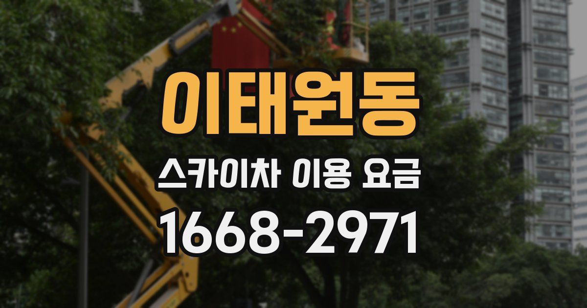 이태원동 스카이차 이용 요금