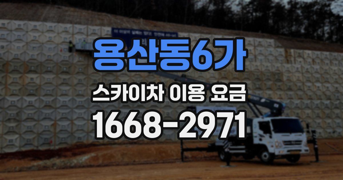 용산동6가 스카이차 이용 요금