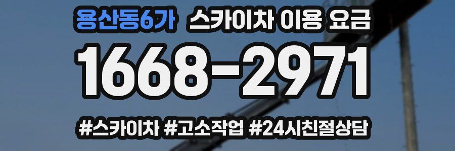 용산동6가 스카이차 이용 요금