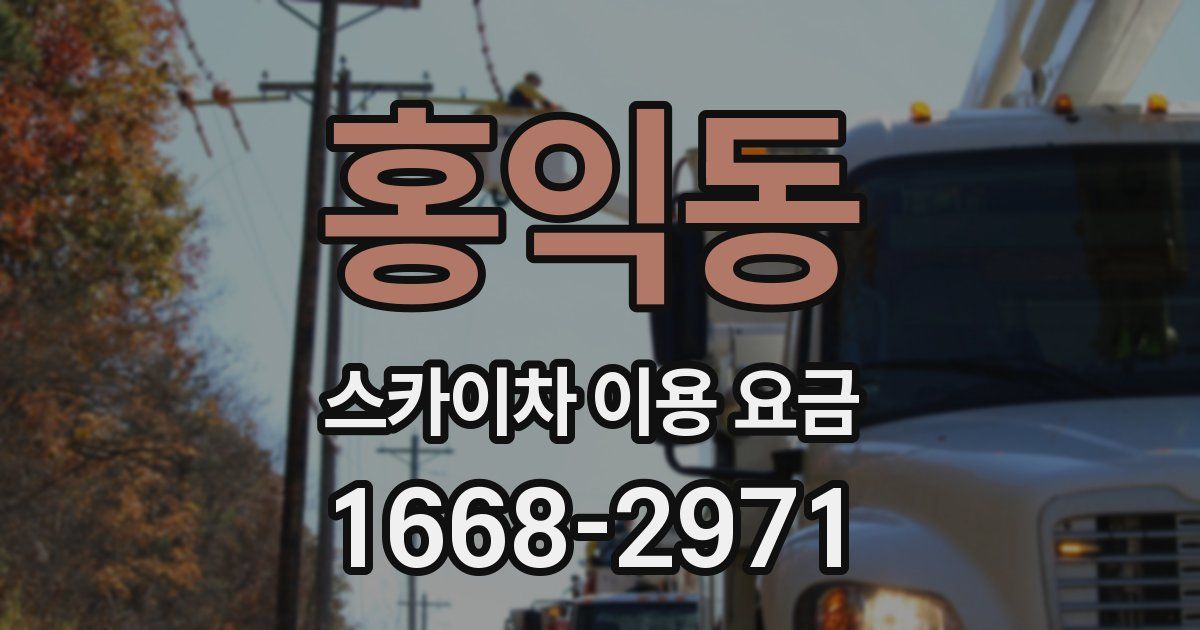 홍익동 스카이차 이용 요금