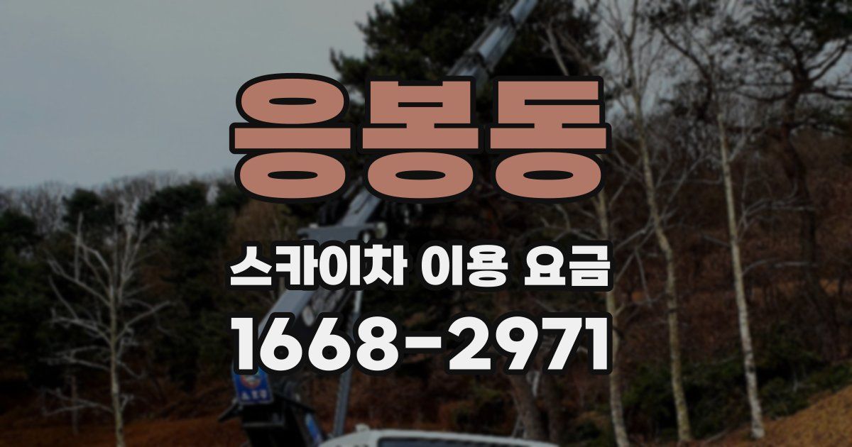 응봉동 스카이차 이용 요금