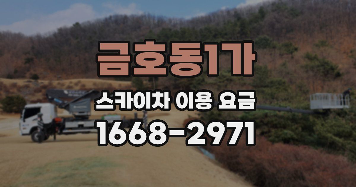 금호동1가 스카이차 이용 요금