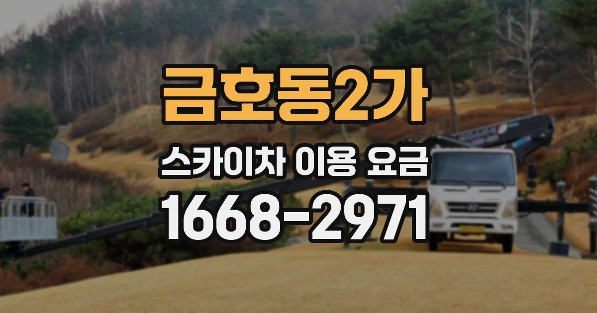 금호동2가 스카이차 이용 요금
