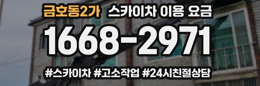 금호동2가 스카이차 이용 요금