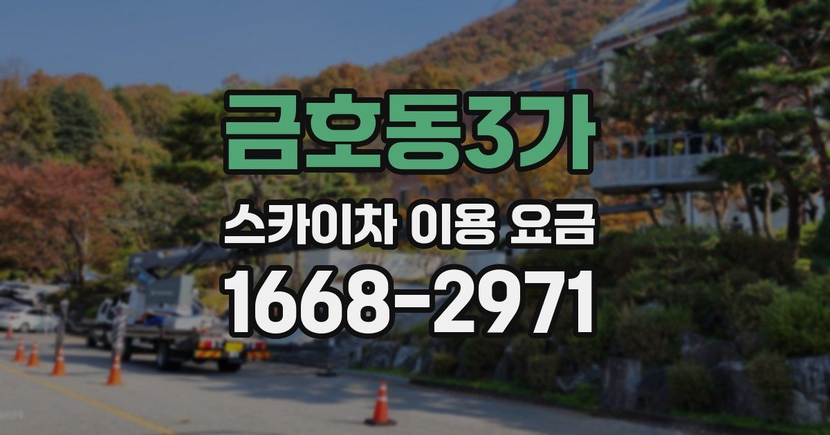 금호동3가 스카이차 이용 요금
