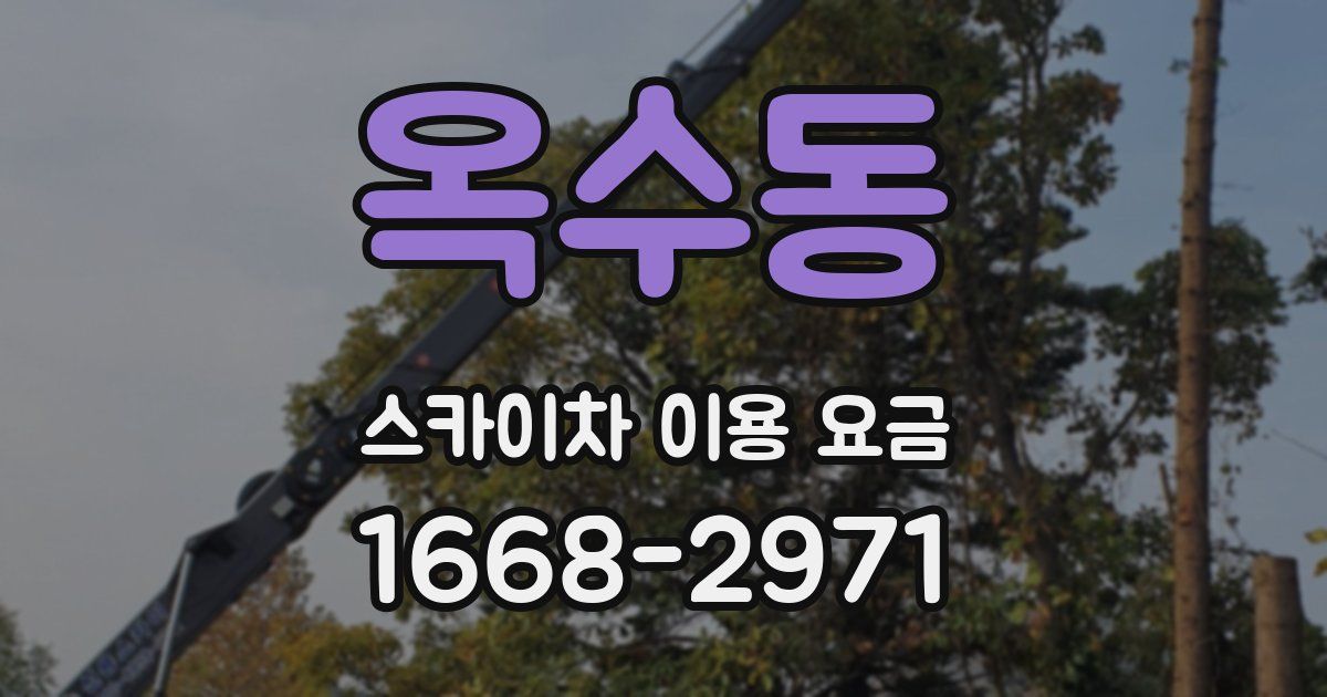 옥수동 스카이차 이용 요금