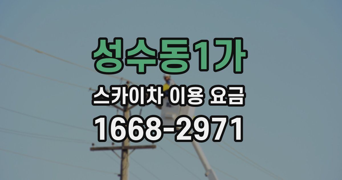성수동1가 스카이차 이용 요금