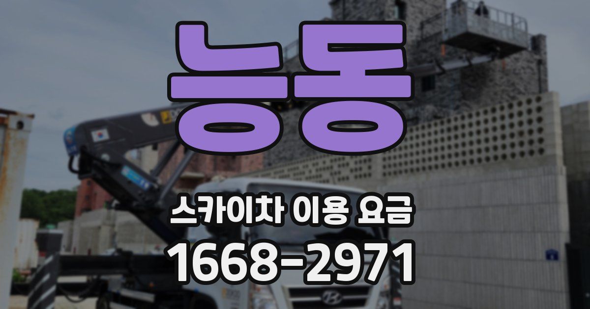 능동 스카이차 이용 요금