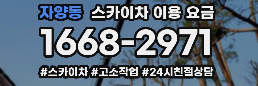 자양동 스카이차 이용 요금