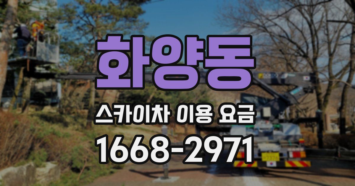 화양동 스카이차 이용 요금