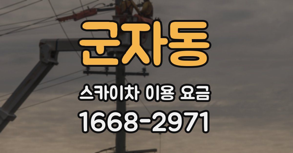 군자동 스카이차 이용 요금