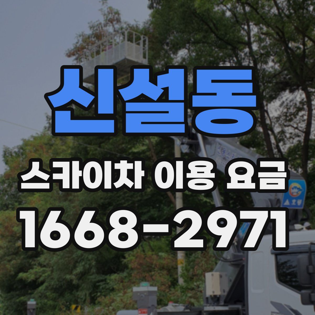 신설동 스카이차 이용 요금