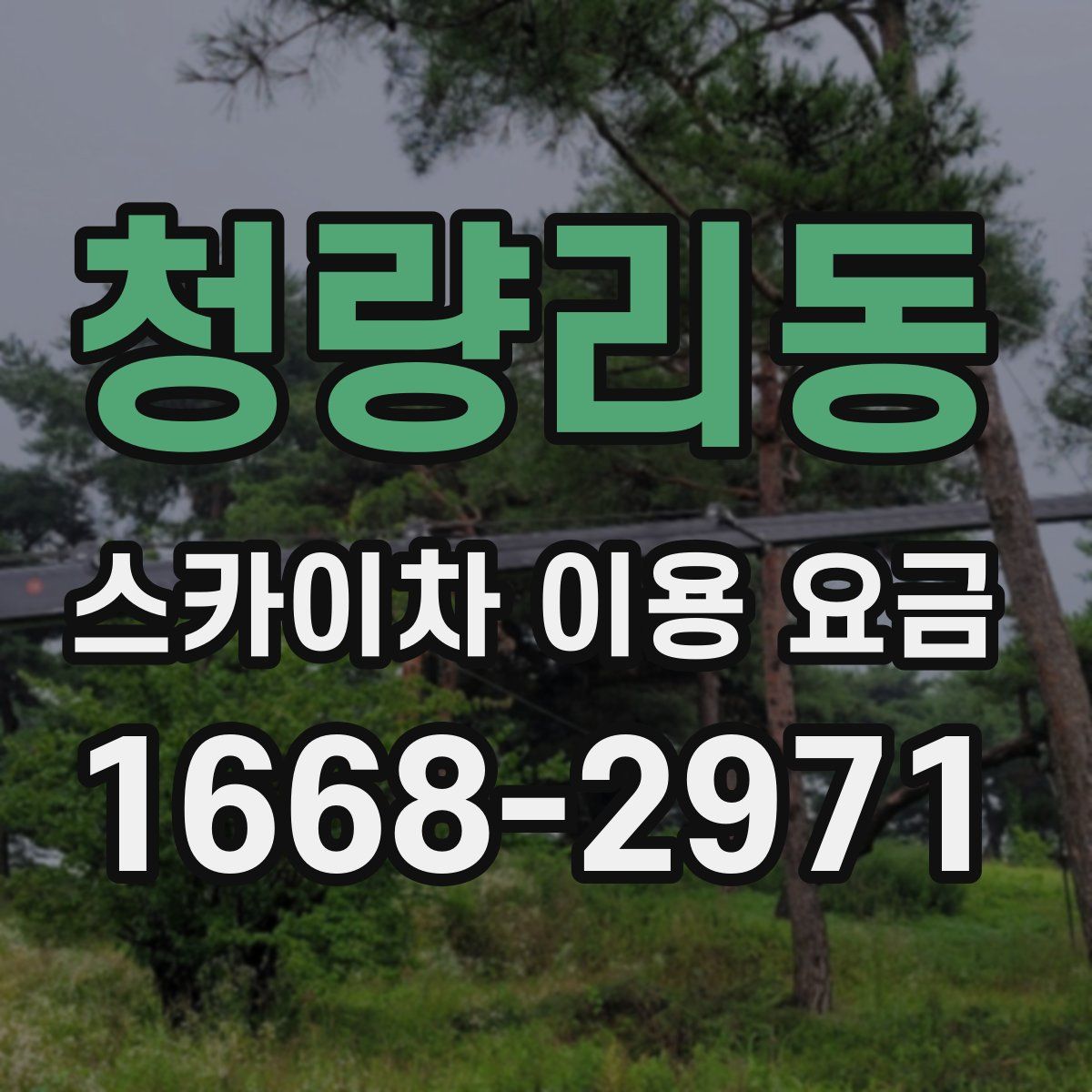 청량리동 스카이차 이용 요금