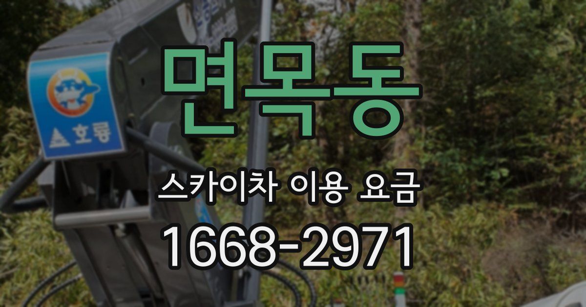 면목동 스카이차 이용 요금