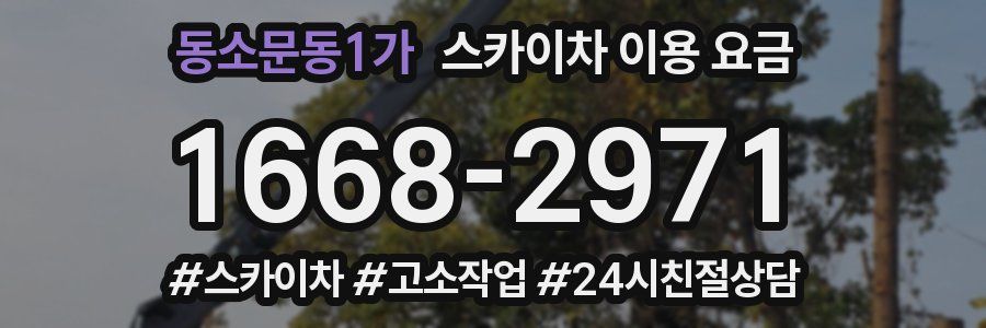 동소문동1가 스카이차 이용 요금