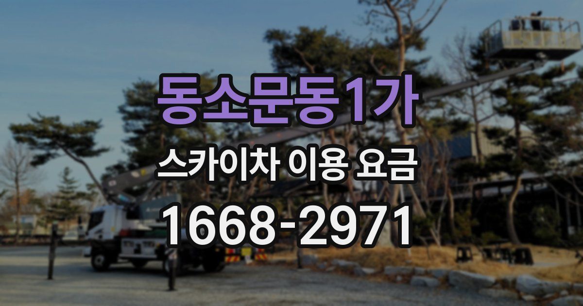 동소문동1가 스카이차 이용 요금