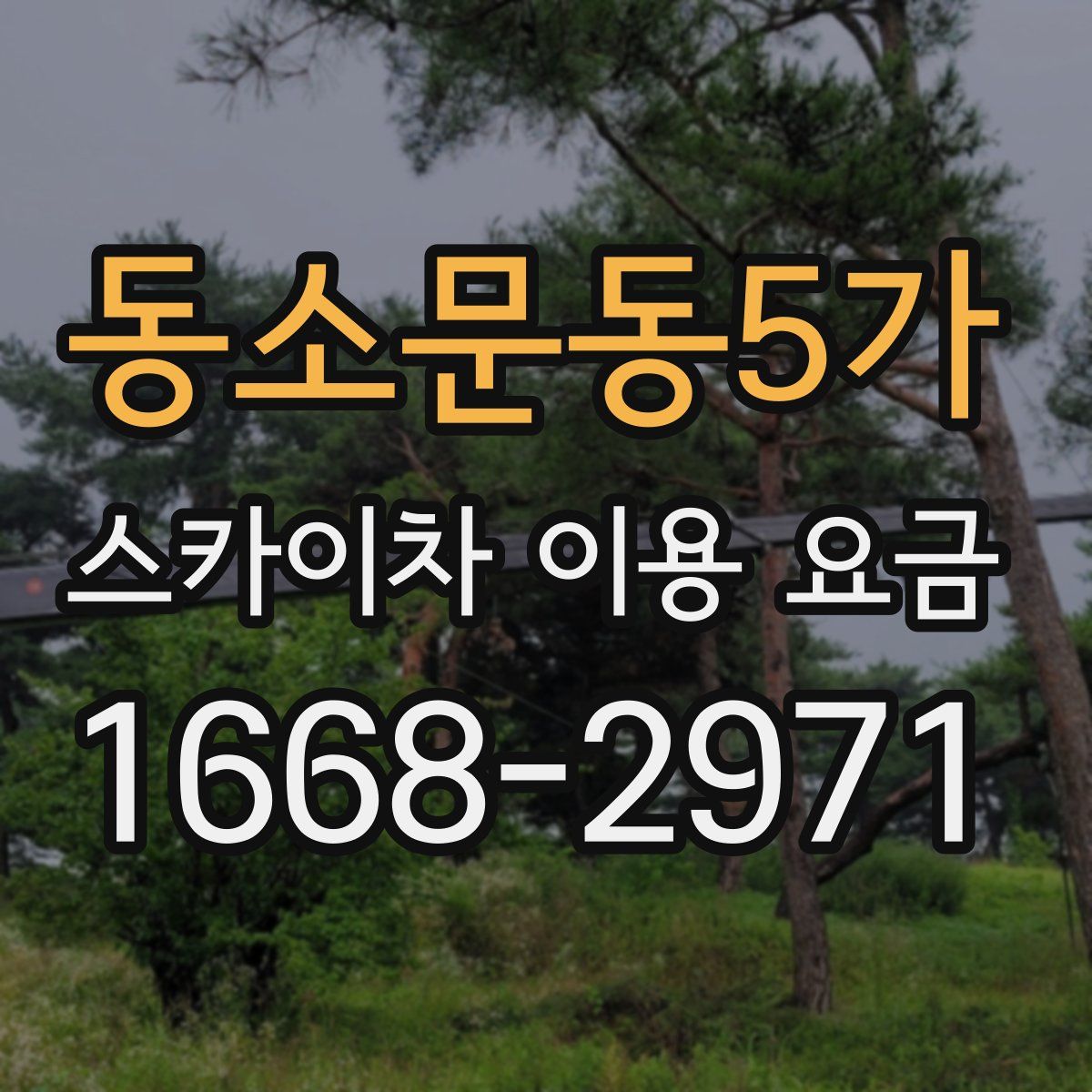 동소문동5가 스카이차 이용 요금