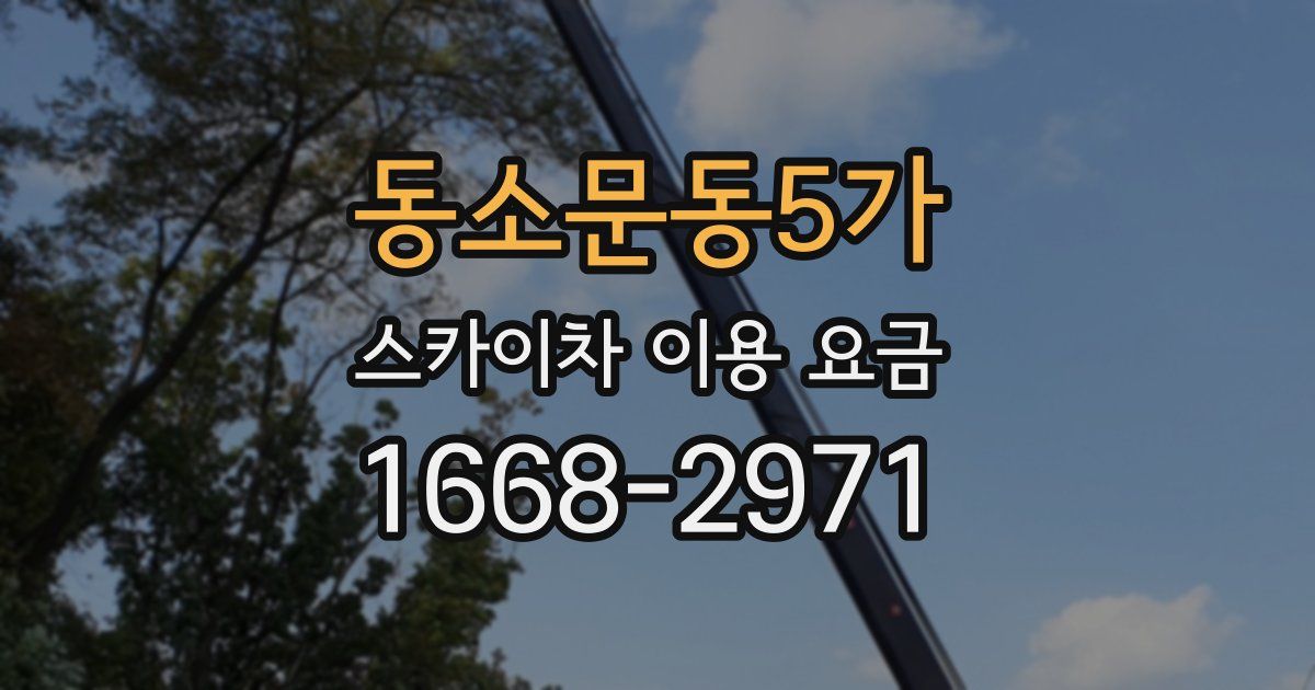 동소문동5가 스카이차 이용 요금