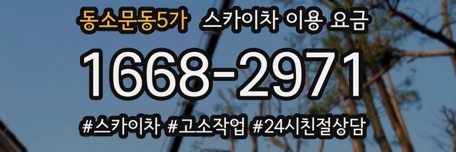 동소문동5가 스카이차 이용 요금