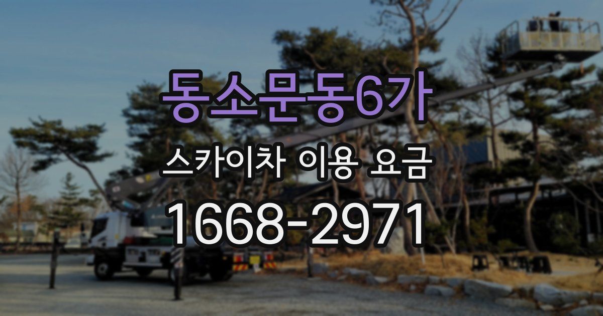 동소문동6가 스카이차 이용 요금