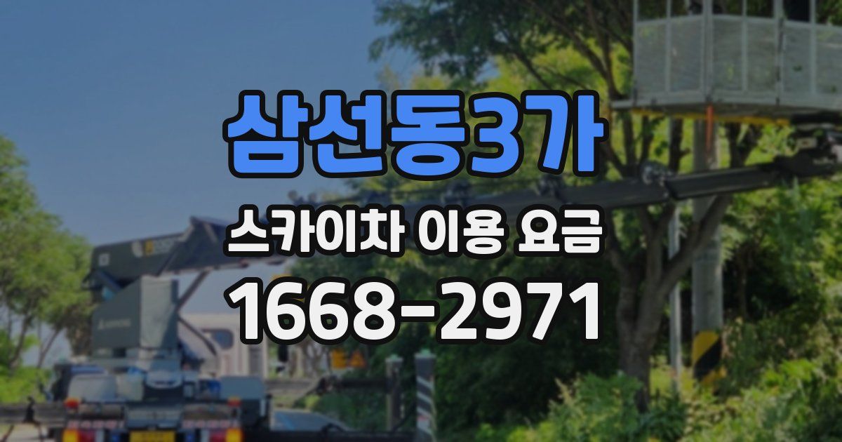 삼선동3가 스카이차 이용 요금