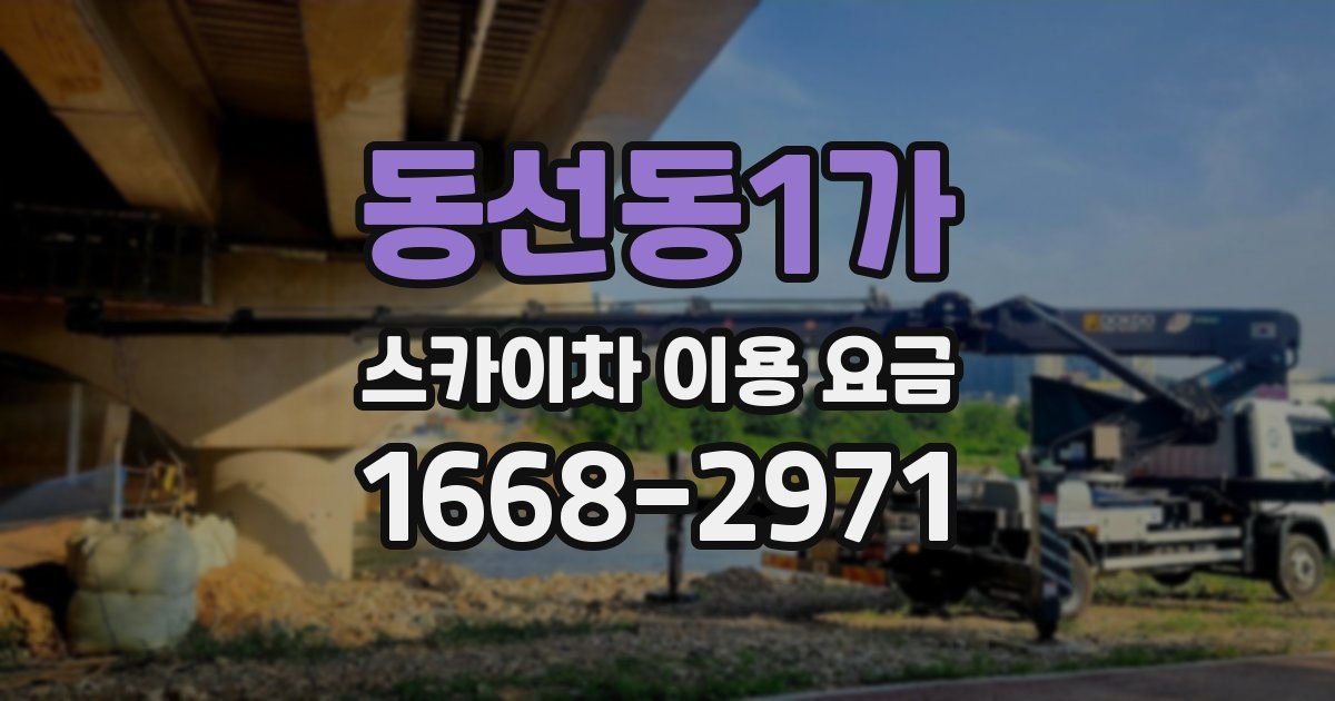동선동1가 스카이차 이용 요금