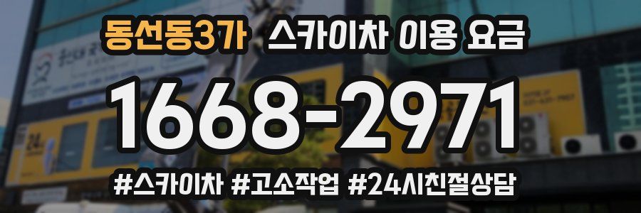 동선동3가 스카이차 이용 요금