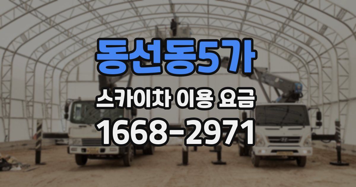 동선동5가 스카이차 이용 요금