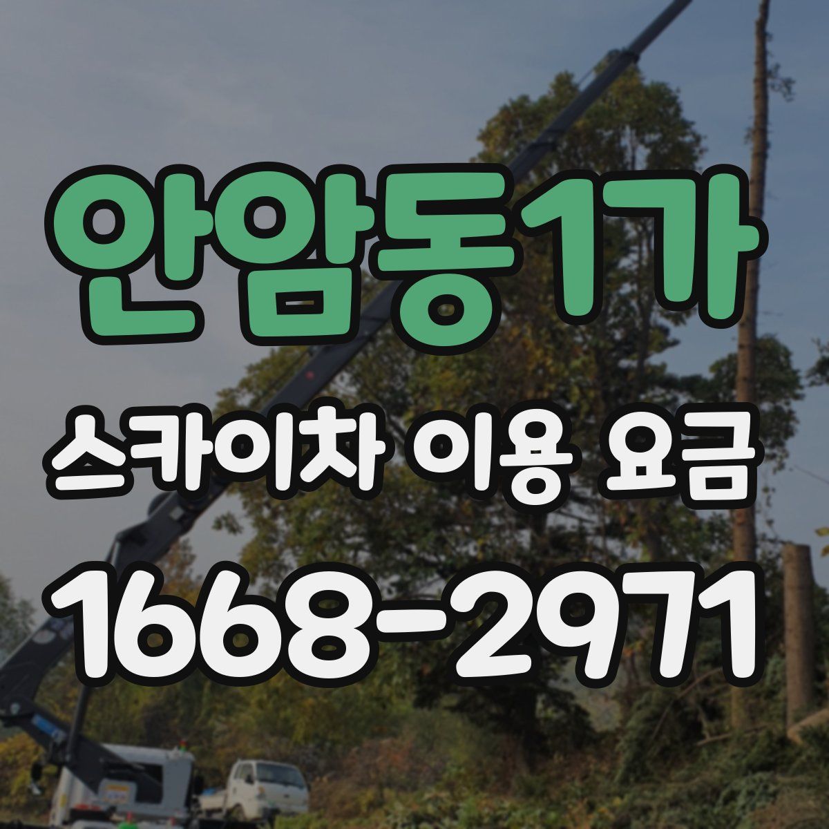 안암동1가 스카이차 이용 요금