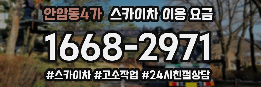 안암동4가 스카이차 이용 요금