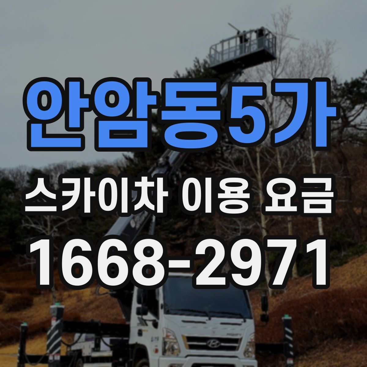 안암동5가 스카이차 이용 요금