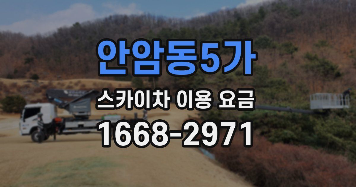 안암동5가 스카이차 이용 요금