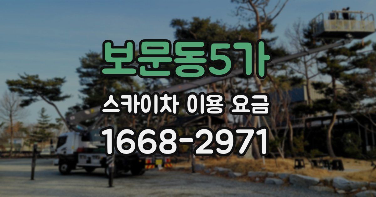 보문동5가 스카이차 이용 요금